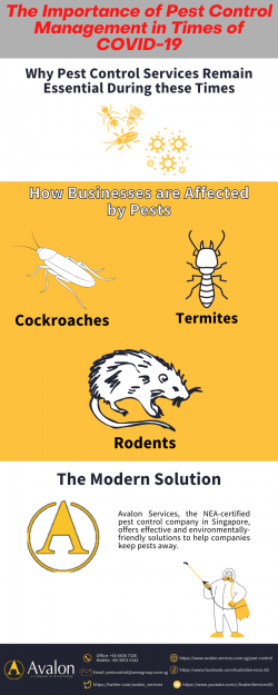 The Importance of Pest Control Management in Times of Covid-19
