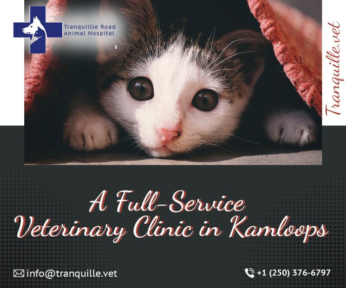 We are an established full-service Cat Hospital Kamloops