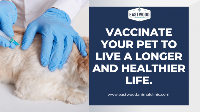 Vaccinate your pet to live a longer and healthier life