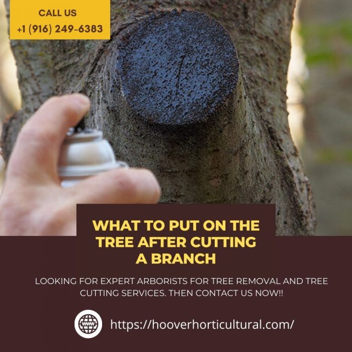 What to Do With the Branch After You Cut It Off