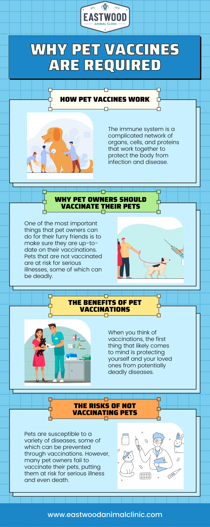 Why Pet Vaccines Are Required