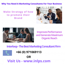 Why You Need A Marketing Consultants For Your Business