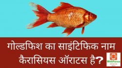 Goldfish Ka Scientific Naam Kya Hai || गोल्डफिश का साइंटिफिक नाम क्या है