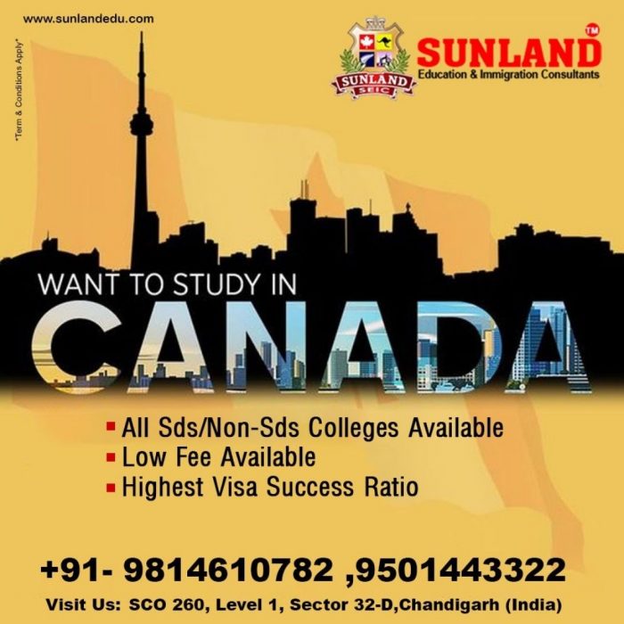 Want To Study & Settle Abroad
