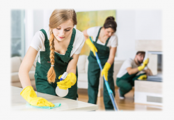 Hassle-Free Bond Cleaning Services Southport