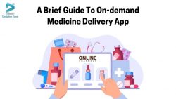 A Brief Guide To On-demand Medicine Delivery App Development