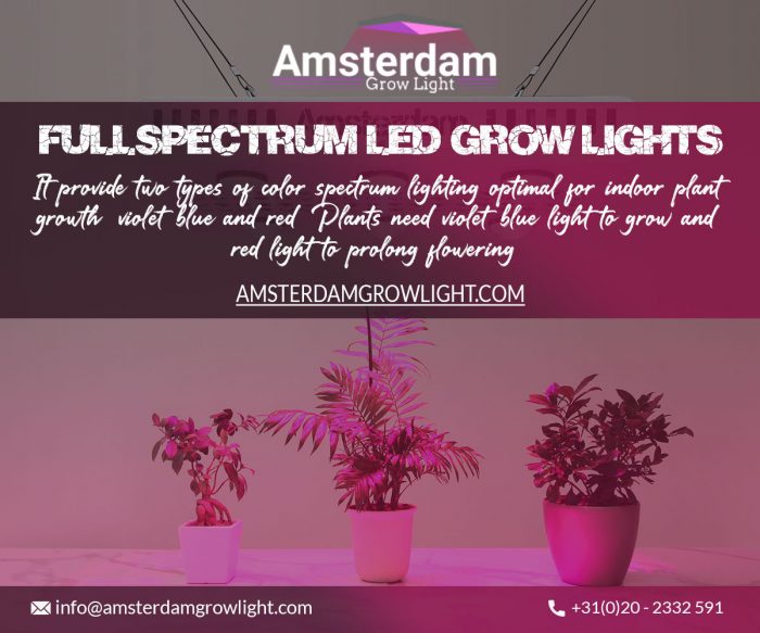 The highest quality and best grow lights for indoor plants UK