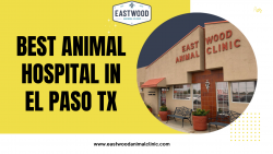 Best Animal Hospital In El Paso Tx