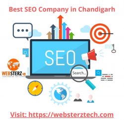 Best SEO Company in Chandigarh