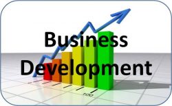 Best Business Development Ideas