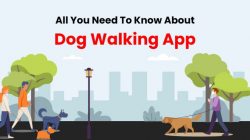 Dog Walker App Development