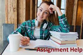 Find Assignment Helper Online