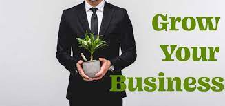 Growth of your business