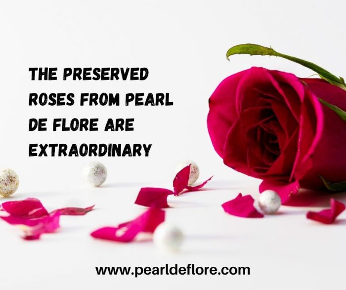 The preserved roses from Pearl de Flore are extraordinary