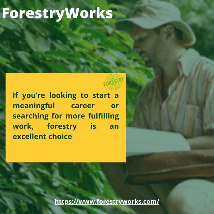 Worthy Professional Forester Jobs Salary
