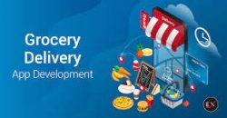 grocery delivery app development