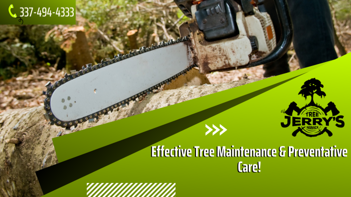 Hire Professionals for Tree Removal Service