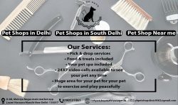Pet Shops in South Delhi | Pet Shops in Delhi | Pet Shops near me