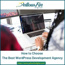 How to Choose the Best WordPress Development Agency – YellowFin Digital
