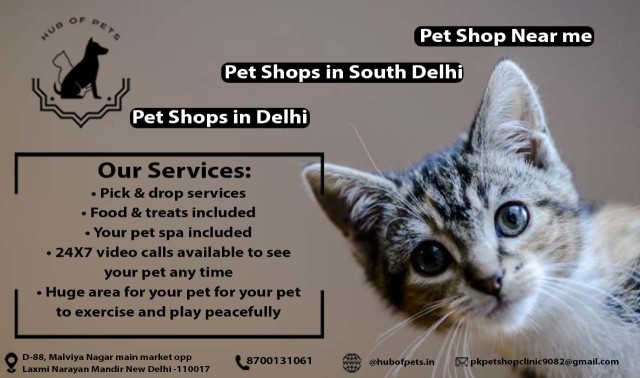 Pet Shops in South Delhi | Pet Shops in Delhi | Pet Shops near me