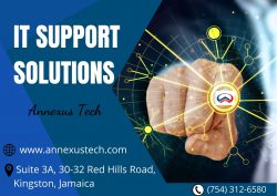 IT Support Solutions – Annexus Tech