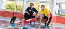 National pool lifeguard qualification