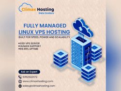 Best Shared linux Hosting Providers in India
