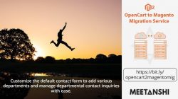 OpenCart to Magento Migration Service﻿