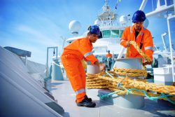 How do Marine Consultants help In Business Expansion?