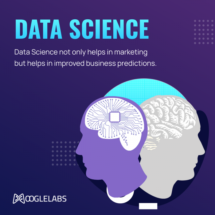 Best Data Analytics Services Company | MoogleLabs