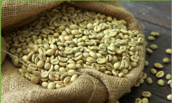 Organic green coffee beans