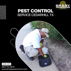 Pest control service Cedarhill Tx
