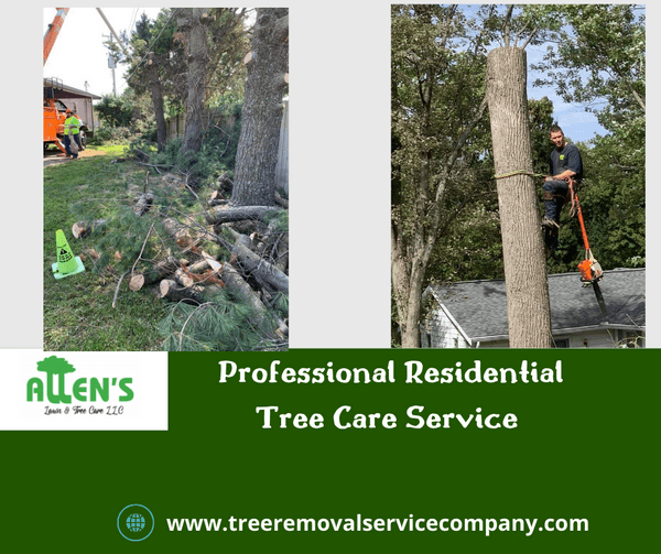 Professional Residential Tree Care Service in Florence, KY