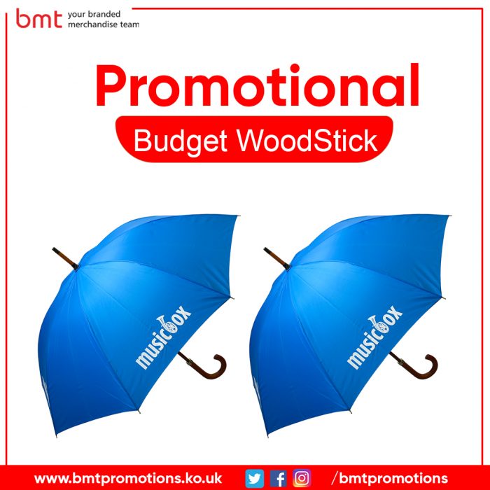 Promotional Budget WoodStick