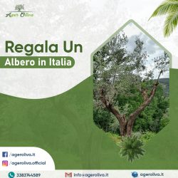 Regala un Albero in Italia