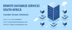 Famous Remote Database Services South Africa