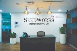 Hybrid Rice Seed Companies in India | Seedworks.com