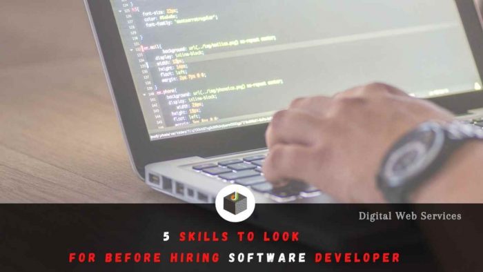 Know The Top 5 Skills Before Hiring Software Developer