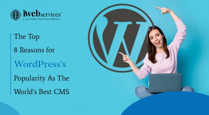 The Top 8 Reasons for WordPress’s Popularity As The World’s Best CMS