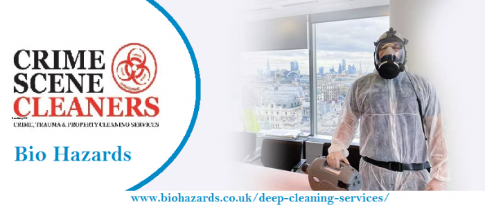 Top Deep Cleaning Services