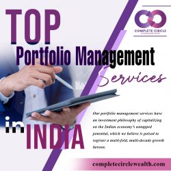 Top Reputed Wealth Management Firms in India