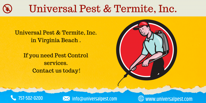 Rodent Control and Extermination Services- Universal Pest & Termite, Inc.