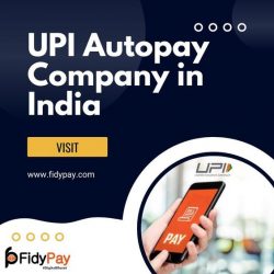 UPI Autopay Company in India