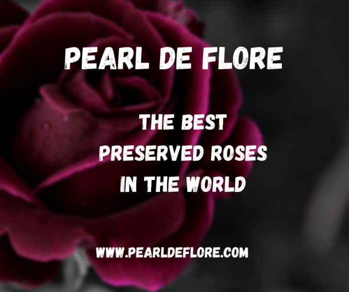 Pearl de Flore Reviews – most well-preserved roses in the world