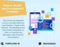 Web or mobile app development