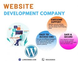 Website development company kolkata
