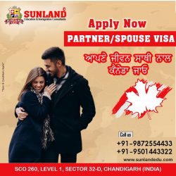 Are you Planning to apply for Partner Visa?
