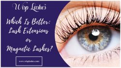Are Lash Extensions or Magnetic Lashes Better? – Wisp Lash Lounge