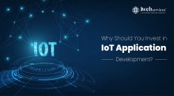 Why Should You Invest In IoT Application Development?