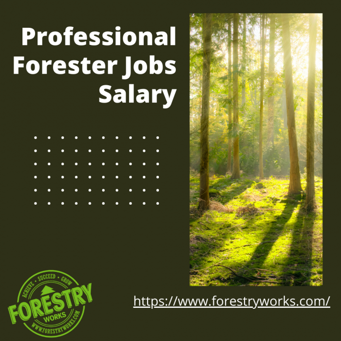 Discover Professional Forester Jobs Salary
